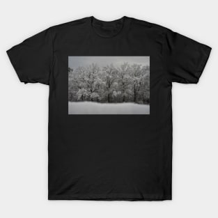 Country under snow T-Shirt